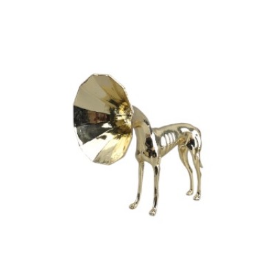 Trumpet dog 擺件