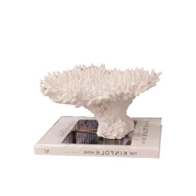white coral 擺件
